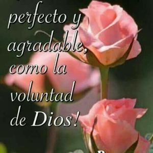 Meet your Posher, Patty